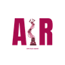 AIR Club UdeSA